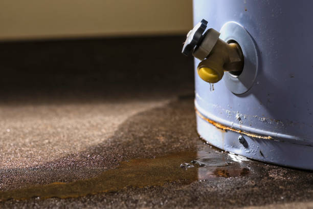 Best Flood restoration services  in Mesquite, NV