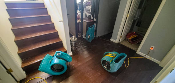 Best Local water damage restoration  in Mesquite, NV