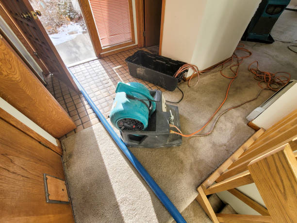 Best Water damage cleanup near me  in Mesquite, NV