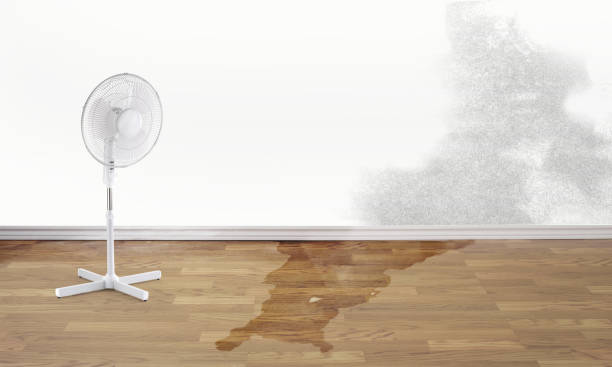 Water damage restoration insurance claims in NV