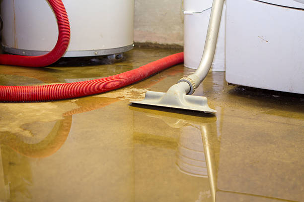 Best Water damage cleanup near me  in Mesquite, NV