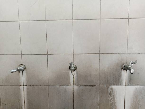 Best Flooded house restoration  in Mesquite, NV